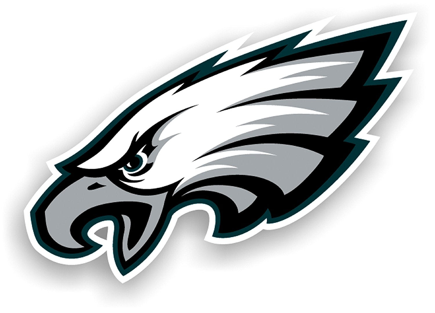 Philadelphia Eagles – JH Design Group